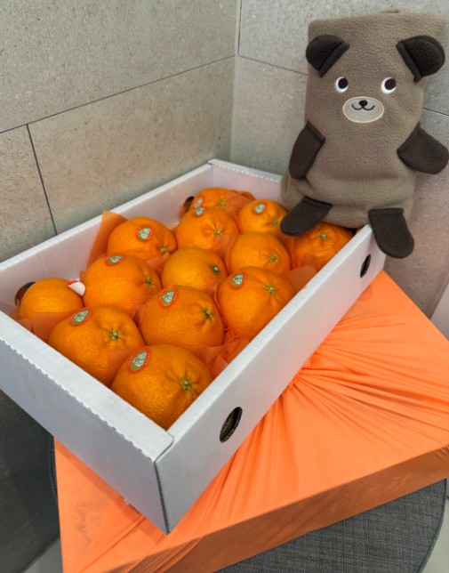 fec01d885b3db28126a4a9e286b2f40c_1770863126_4121.png fec01d885b3db28126a4a9e286b2f40c_1770863126_4121.png